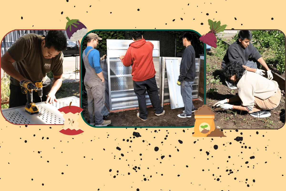 Installing Compost Bins and Building Connections at Malcolm X Gardens ...