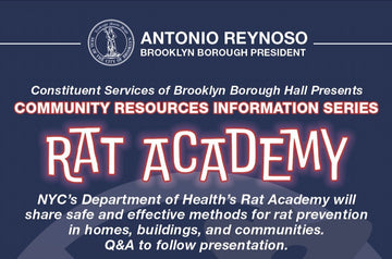 Learn about rat prevention in NYC - Big Reuse