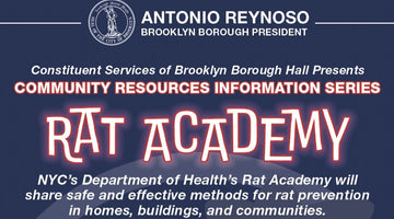 Learn about rat prevention in NYC - Big Reuse
