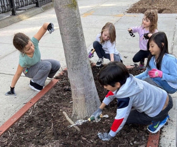 Let's Grow our Urban Forest! - Big Reuse