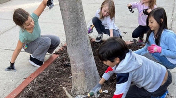 Let's Grow our Urban Forest! - Big Reuse