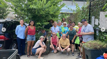 Our street tree care team in action: July & August 2024! - Big Reuse