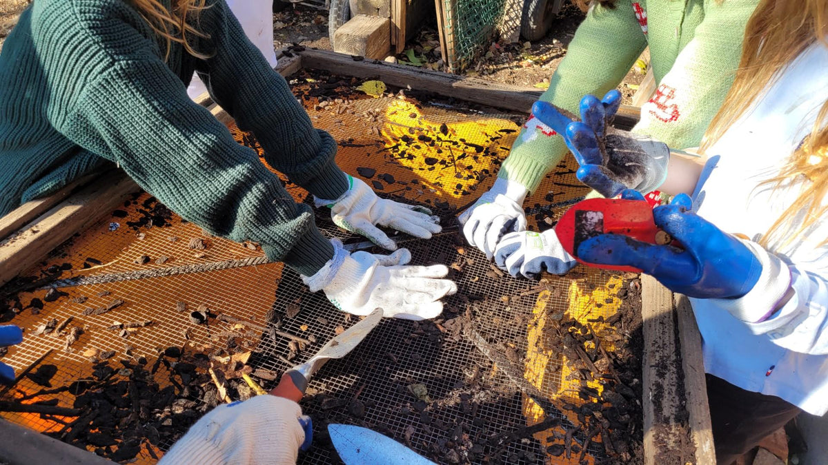 Our Street Tree Care Team in action: November & December 2024 – Big Reuse