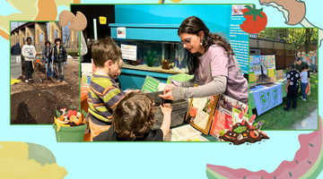 Planting Seeds Early - Big Reuse