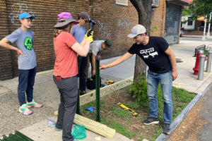Protecting NYC’s Street Trees with Youth: Tree Guard Install Project - Big Reuse