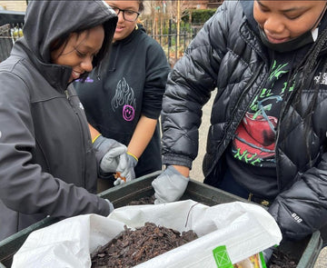 Street Tree Care Across Brooklyn! - Big Reuse