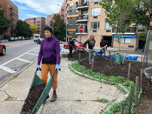 Street Tree Care Recap - Big Reuse