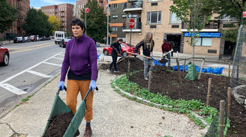 Street Tree Care Recap - Big Reuse