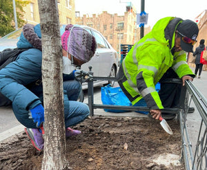 Tell us which NYC street trees to care for! - Big Reuse