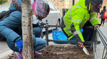 Tell us which NYC street trees to care for! - Big Reuse