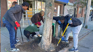 The Effects of a Street Tree Care - Big Reuse