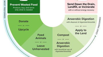 The EPA's new food waste report - Big Reuse