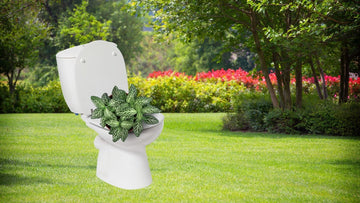 Toilet and Sink Re-Creation! - Big Reuse