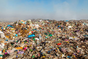 Trash Doesn’t Disappear… It Haunts Us - Big Reuse