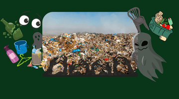 Trash Doesn’t Disappear… It Haunts Us - Big Reuse