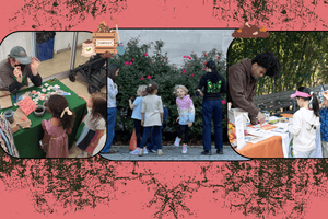 Turning Waste Into Renewal: Our Curbside Composting Journey - Big Reuse