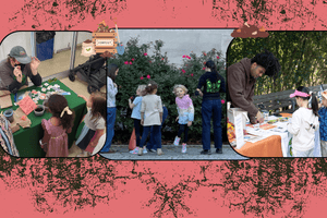 Turning Waste Into Renewal: Our Curbside Composting Journey - Big Reuse