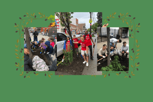 Volunteer with Big Reuse for City of Forest Day! - Big Reuse