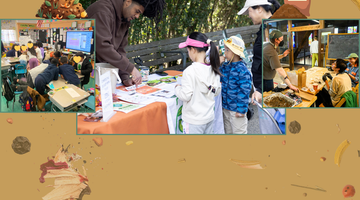 What's New with DSNY's Curbside Composting Program? - Big Reuse