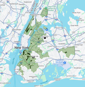 Big Reuse & NYC Council District 33