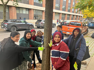 CM_Louis_District_STC