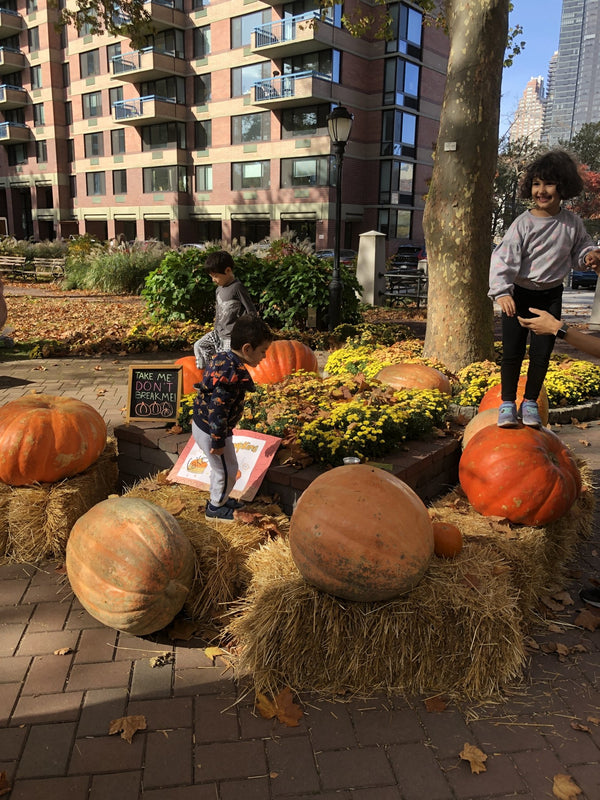 outreach event with pumpkins
