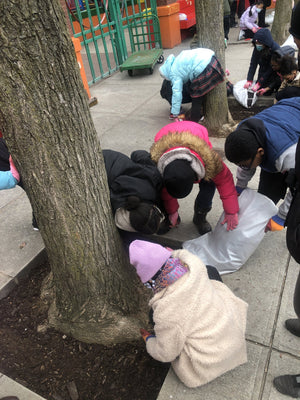 Big Reuse volunteers doing tree care in NYC