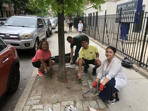 volunteers doing tree care in NYC