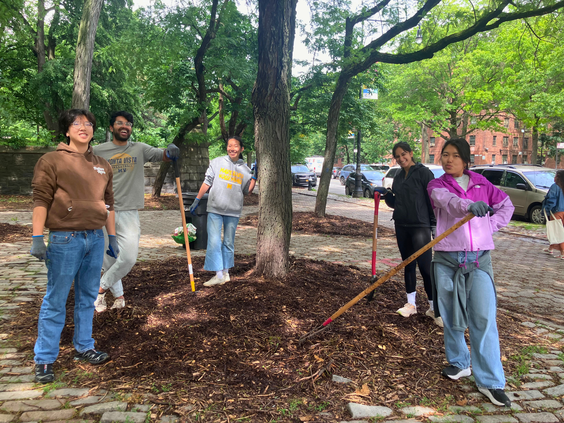 NYC Street Tree Care – Big Reuse