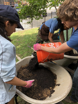volunteers filling a wheelbarrow with compost