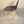 Load image into Gallery viewer, Herman Miller - Eames Molded Fiberglass Stool
