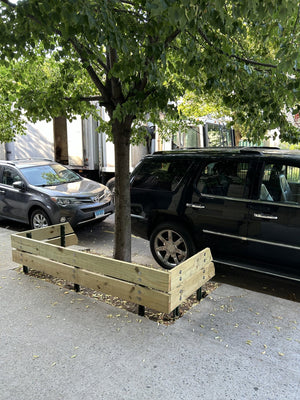 NYC Street Tree Guards