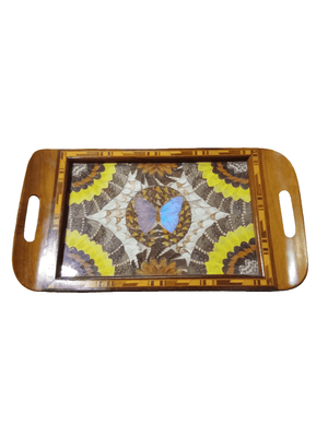 Medium Art Deco Butterfly Wing Tray - Big Reuse