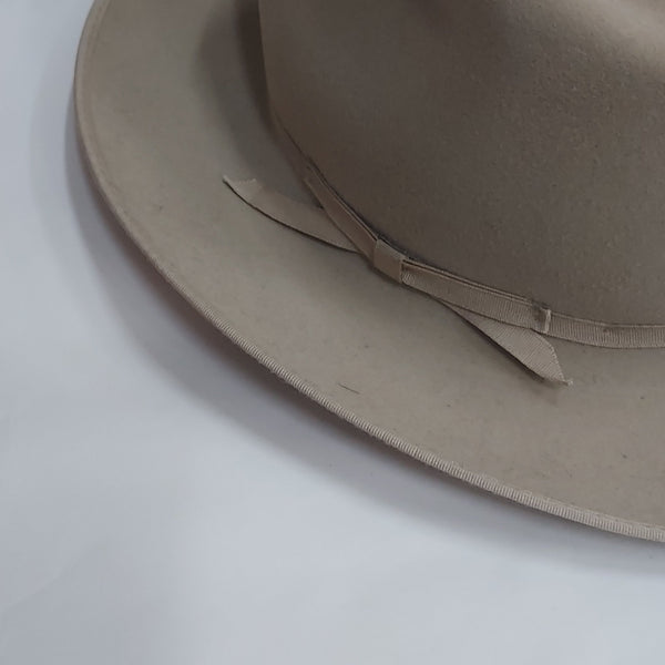 Stetson Stratoliner Fedora - Big Reuse