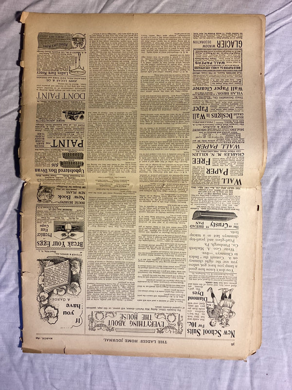 Ladies' Home Journal March 1895 - Big Reuse